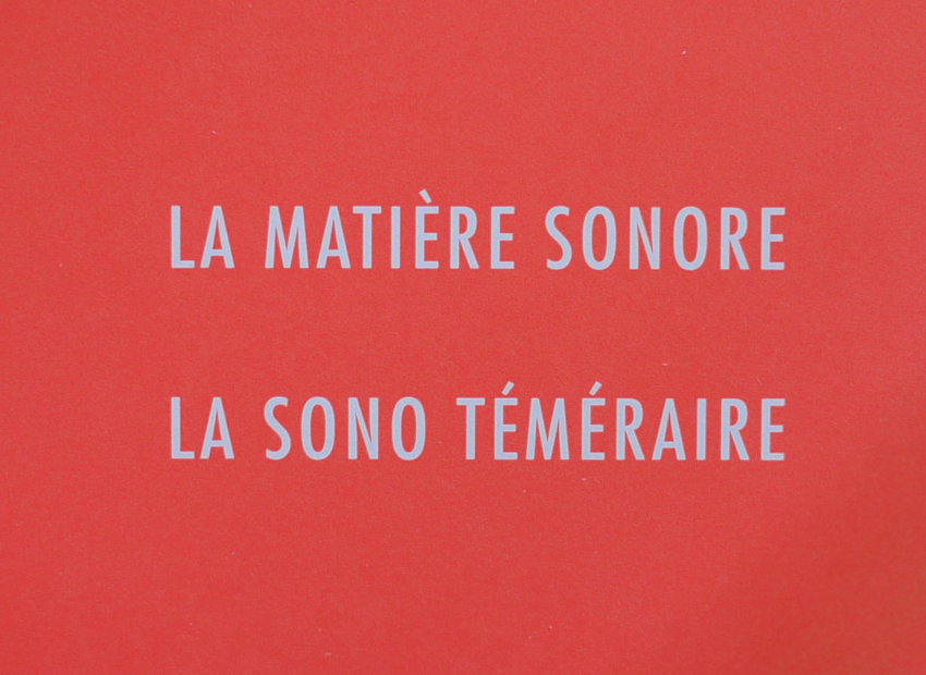 image du titre ANAGRAMMES POUR LA RENAISSANCE DE LA MATIÈRE