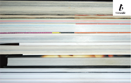 salon de Thionville, iconomoteur