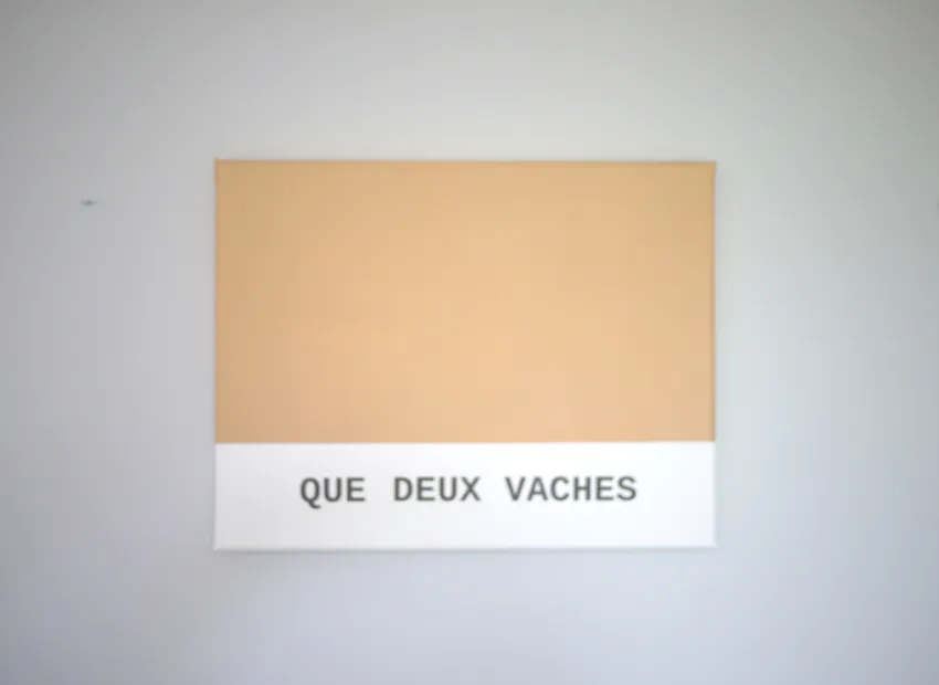 image du titre LE NOM DES COULEURS 2/3